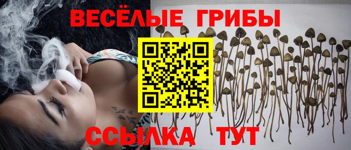 Галлюциногенные грибы мухоморы Кандалакша
