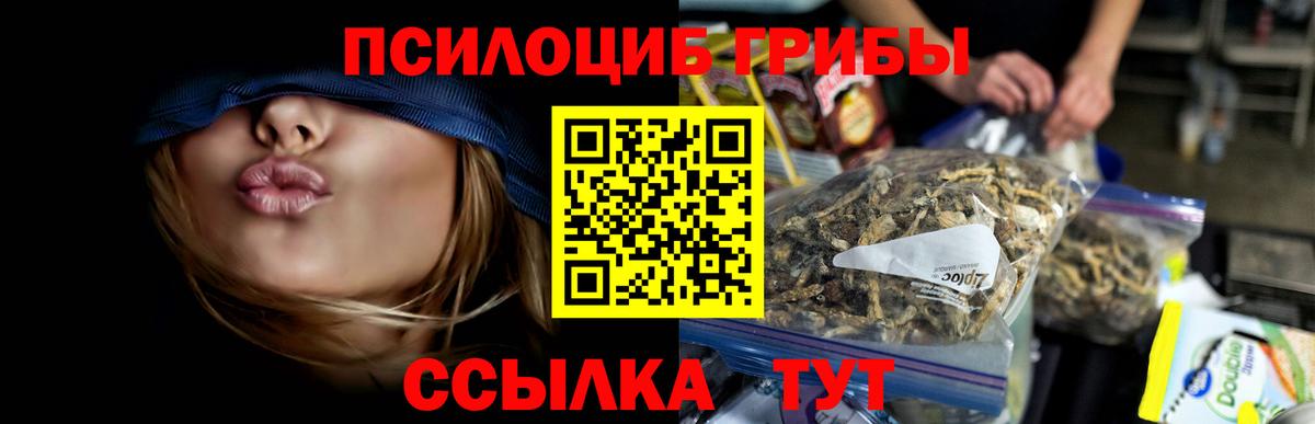 Кандалакша  Галлюциногенные грибы прущие грибы  Вход с VPN 